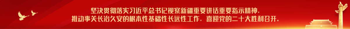 ="坚决贯彻落实习近平总书记视察新疆重要讲话重要指示精神"